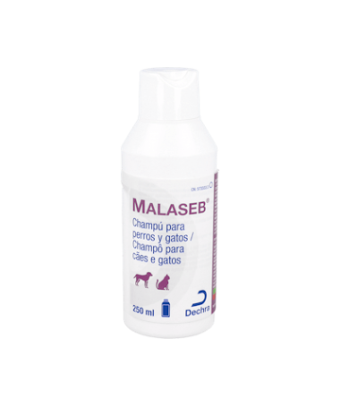 MALASEB CHAMPU 250 ML DECHRA – foto del producto cada malaseb champu