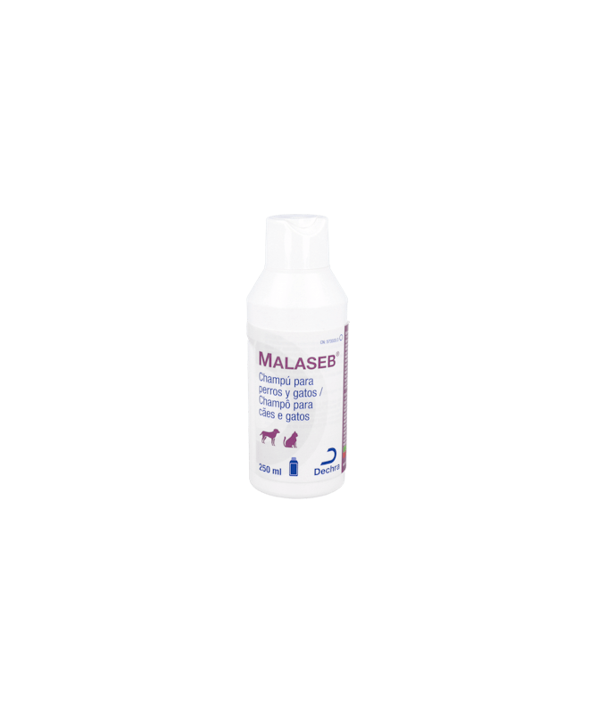 MALASEB CHAMPU 250 ML DECHRA – foto del producto cada malaseb champu