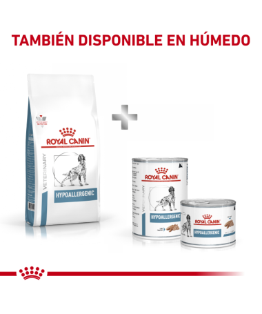 ROYAL VET CANINE HYPOALLERGENIC DR21 2KG – foto del producto vitamina aceite ácido