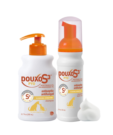 DOUXO S3 PYO MOUSSE 150ML – foto del producto douxo pyo mousse