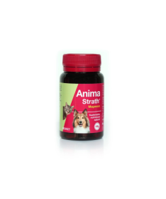 ANIMA STRATH PERROS Y GATOS 240COMP – foto del producto anima strath perros