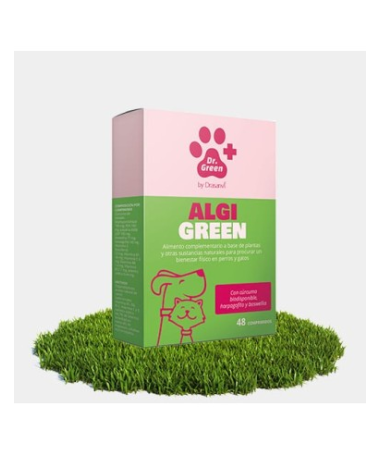 ALGIGREEN PERROS Y GATOS 48COMP – foto del producto vitamina boswellia algigreen