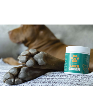 LAXAGREEN PERROS Y GATOS 100GR – foto del producto laxagreen perros gatos