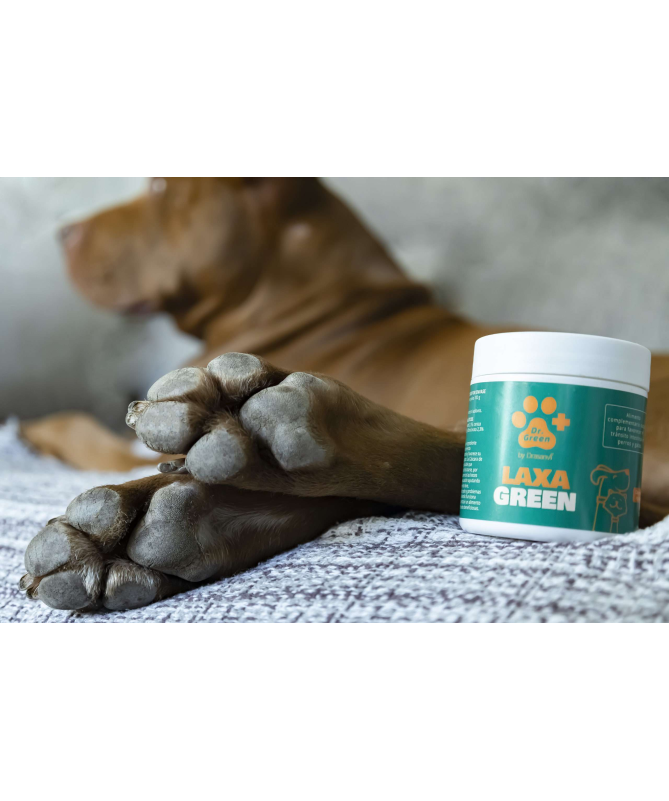 LAXAGREEN PERROS Y GATOS 100GR – foto del producto laxagreen perros gatos