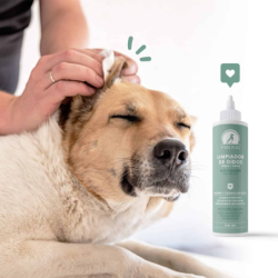 CLEANAURAL LIMPIEZA DE...