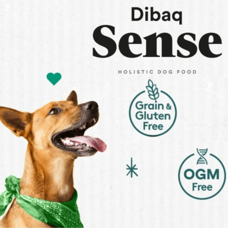 DIBAQ SENSE CORDERO PERRO ADULTO MINI 6KG SG